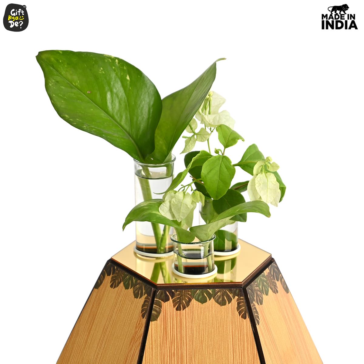 Test Tube Planter with Wooden Holder / Calendar 2025, Table Top Decor Planters | Hexagon Design | Corporate Gifts