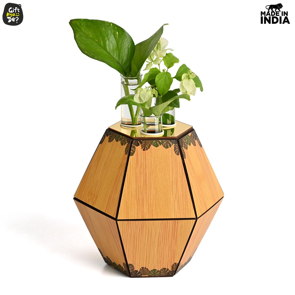 Test Tube Planter with Wooden Holder / Calendar 2025, Table Top Decor Planters | Hexagon Design | Corporate Gifts
