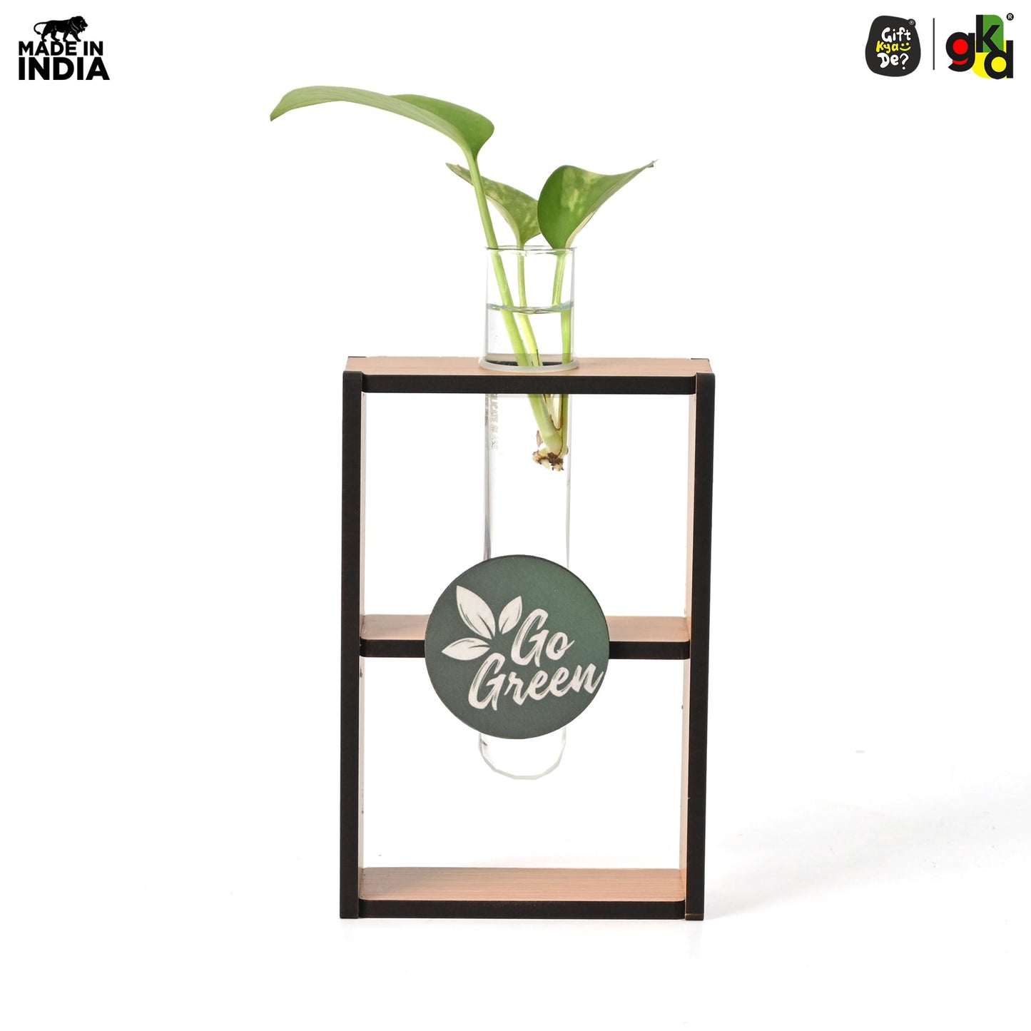 Eco-Friendly Test Tube Planter | Wooden MDF Stand | Indoor Desk Décor & Gifting