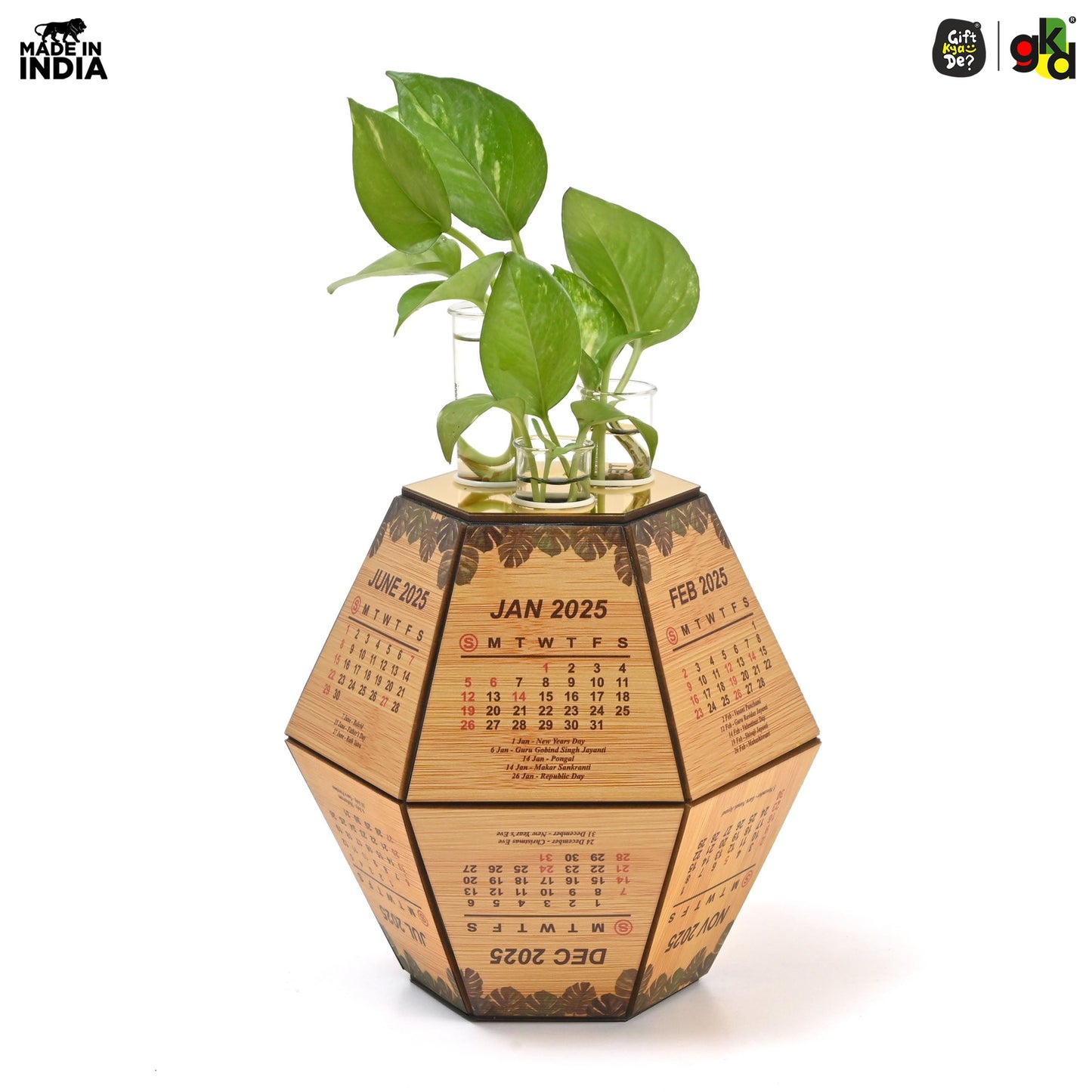 Test Tube Planter with Wooden Holder / Calendar 2025, Table Top Decor Planters | Hexagon Design | Corporate Gifts
