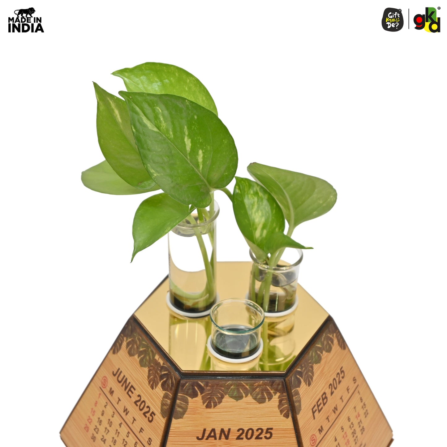 Test Tube Planter with Wooden Holder / Calendar 2025, Table Top Decor Planters | Hexagon Design | Corporate Gifts