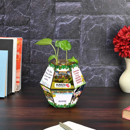 Customize Test Tube Planter with Wooden Holder / Calendar 2025 | Hexagon Design | Corporate Gifts