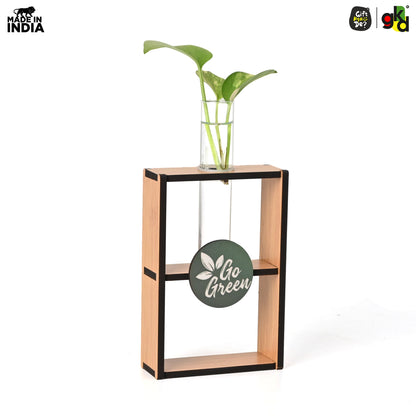 Eco-Friendly Test Tube Planter | Wooden MDF Stand | Indoor Desk Décor & Gifting