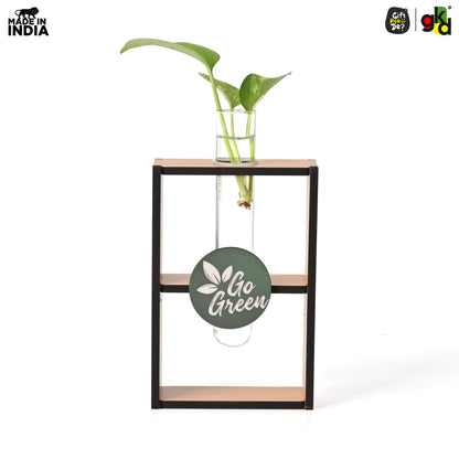 Eco-Friendly Test Tube Planter | Wooden MDF Stand | Indoor Desk Décor & Gifting