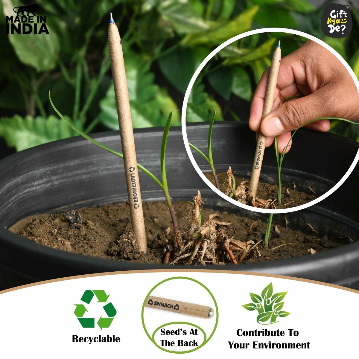 Buy Eco-Friendly Paper Seed Pen ( Pack Of 10) Online -