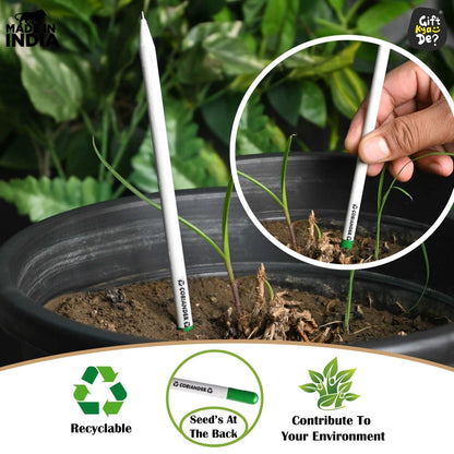 Buy Eco-Friendly Paper Seed Pencil (Pack Of 10) Online - Giff Kya De