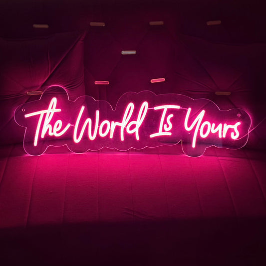 The World Is Yours Led Light